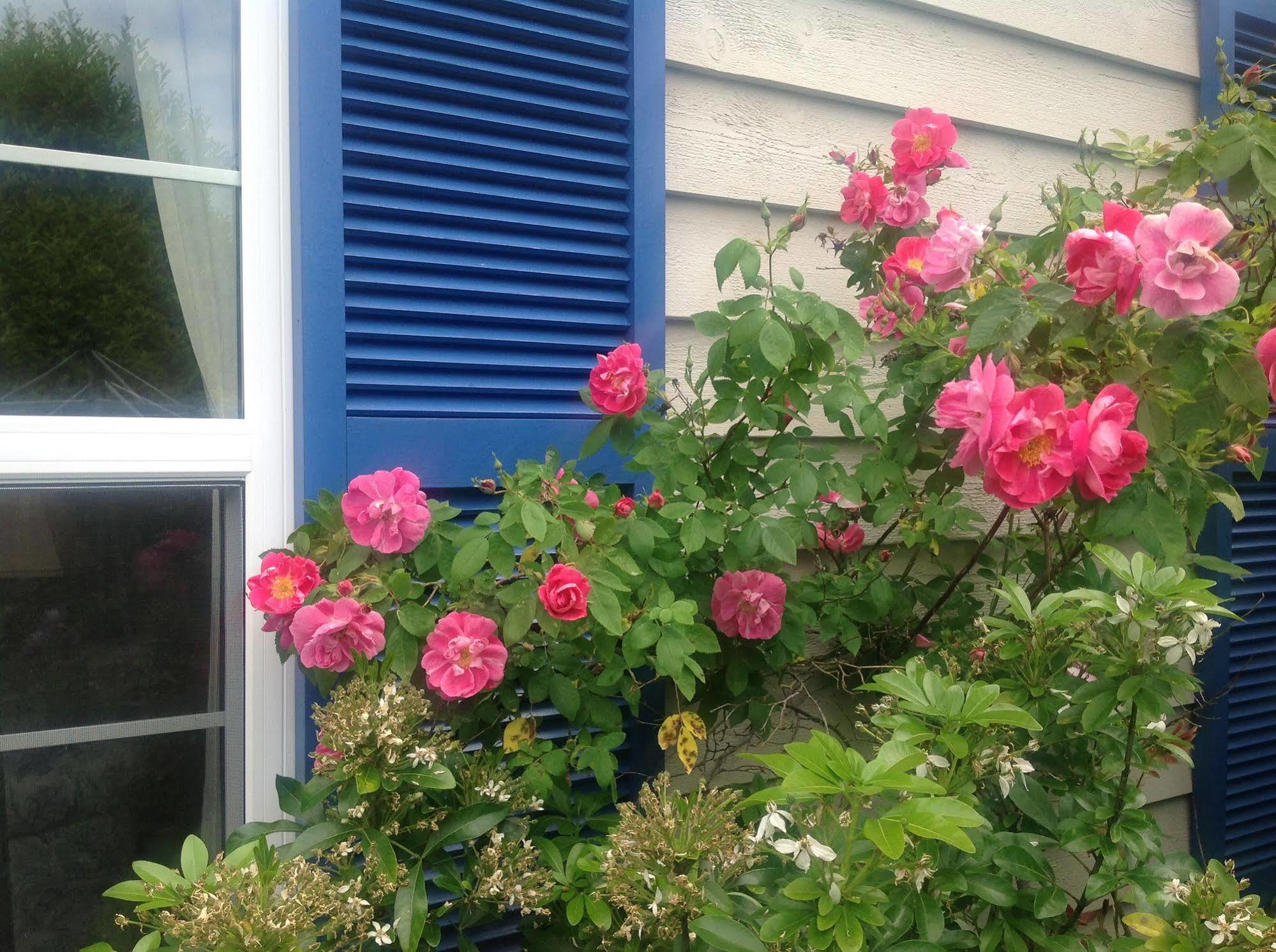 Belle Maison Aupres De La Mer Sidney Exteriör bild